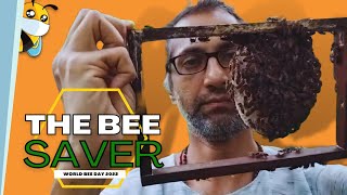 Why Asiatic bees needs more help? World bee day 2022
