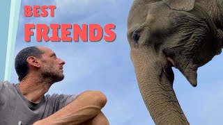 Elephant sanctuary in Nepal - think global go local